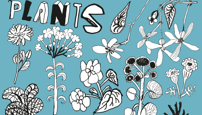 Black and white plants on blue background by Iveta Vaicule